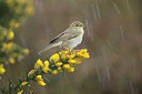 BUITEN BEELD Foto: 273950