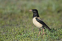 BUITEN BEELD Foto: 274067