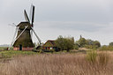 BUITEN BEELD Foto: 274157