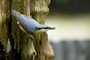 BUITEN BEELD Foto: 274225