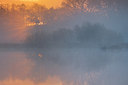 BUITEN BEELD Foto: 274281
