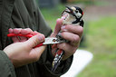 BUITEN BEELD Foto: 274400