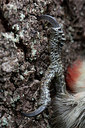 BUITEN BEELD Foto: 274404