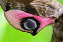 BUITEN BEELD Foto: 274426