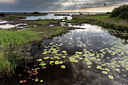 BUITEN BEELD Foto: 274440