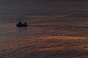BUITEN BEELD Foto: 274445