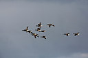 BUITEN BEELD Foto: 274495