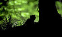 BUITEN BEELD Foto: 274568
