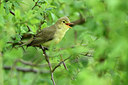 BUITEN BEELD Foto: 274619