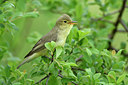BUITEN BEELD Foto: 274620