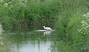 BUITEN BEELD Foto: 274640