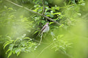 BUITEN BEELD Foto: 274652