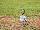BUITEN BEELD Foto: 274660