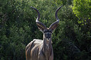 BUITEN BEELD Foto: 274672