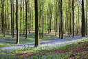 BUITEN BEELD Foto: 274732