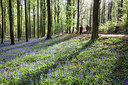 BUITEN BEELD Foto: 274733