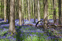 BUITEN BEELD Foto: 274756