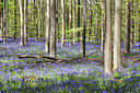 BUITEN BEELD Foto: 274759