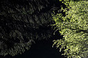 BUITEN BEELD Foto: 274789