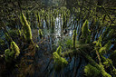 BUITEN BEELD Foto: 274847