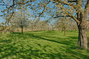 BUITEN BEELD Foto: 274891