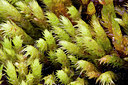 BUITEN BEELD Foto: 274913