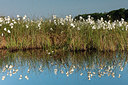 BUITEN BEELD Foto: 274915