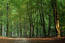 BUITEN BEELD Foto: 274917