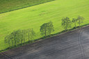 BUITEN BEELD Foto: 274940