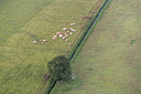 BUITEN BEELD Foto: 274942