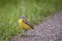 BUITEN BEELD Foto: 274993
