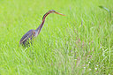 BUITEN BEELD Foto: 275005