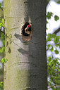 BUITEN BEELD Foto: 275025