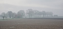 BUITEN BEELD Foto: 275044