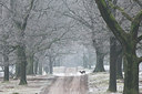 BUITEN BEELD Foto: 275070