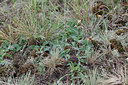 BUITEN BEELD Foto: 275072