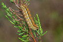 BUITEN BEELD Foto: 275073