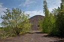 BUITEN BEELD Foto: 275105
