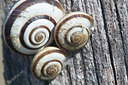 BUITEN BEELD Foto: 275109