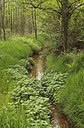 BUITEN BEELD Foto: 275165