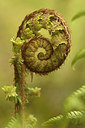 BUITEN BEELD Foto: 275166