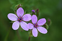 BUITEN BEELD Foto: 275222