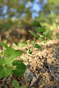 BUITEN BEELD Foto: 275383