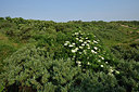 BUITEN BEELD Foto: 275403