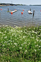 BUITEN BEELD Foto: 275424