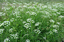 BUITEN BEELD Foto: 275425