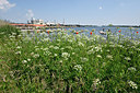 BUITEN BEELD Foto: 275426