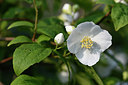 BUITEN BEELD Foto: 275434