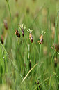 BUITEN BEELD Foto: 275454