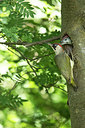 BUITEN BEELD Foto: 275492